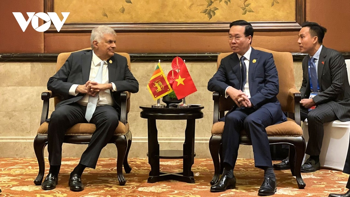 Vietnam attaches importance to fostering traditional relations with Sri Lanka